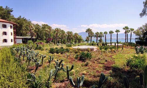 turkey/mugla/fethiye/clubhotelletooniac2f5c2c4.jpg