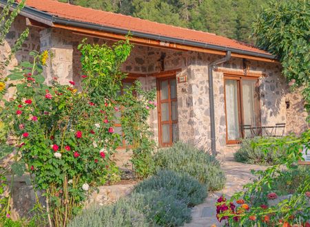 turkey/mugla/fethiye/dedehanretreat42c2814b.jpg