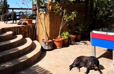 turkey/mugla/fethiye/deepoceancampingadultsonlya0944027.jpg