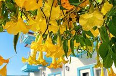 turkey/mugla/fethiye/enjoypansiyonfethiye180fc369.jpg