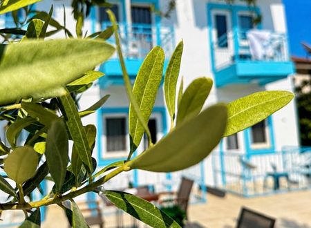 turkey/mugla/fethiye/enjoypansiyonfethiye7745897d.jpg