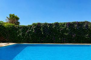 turkey/mugla/fethiye/enjoypansiyonfethiye86b000f1.jpg