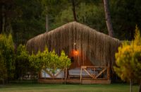 Glamping Çadir