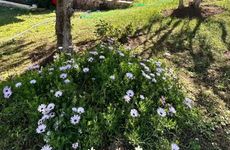 turkey/mugla/fethiye/hotelkibeleoludeniz7b390f8d.jpg