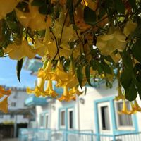 Enjoy Pansiyon Fethiye