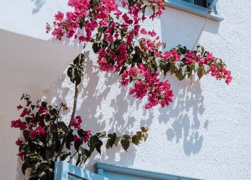 turkey/mugla/fethiye/kassandraboutiquehotel57f8b86b.jpg