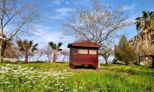 turkey/mugla/fethiye/kelebeklervadisi/butterflyvalleyf32f4f02.jpg