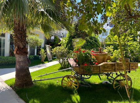 turkey/mugla/fethiye/marinaboutiquehotelfethiye1a516c42.jpg