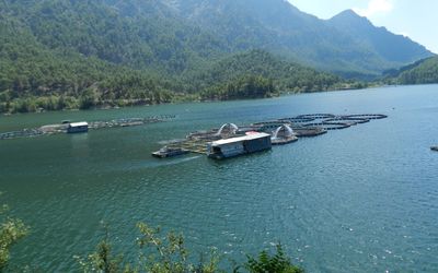 Montain Valley Apart Hotel · 3