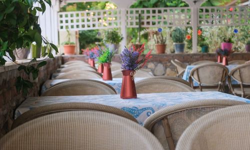 turkey/mugla/fethiye/oceanlifeoteld80b07c7.jpg