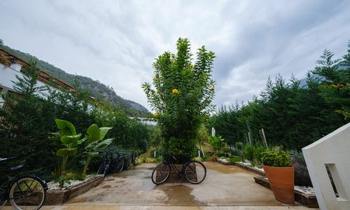 turkey/mugla/fethiye/oludenizbluluxuryuniquehoteladultsonly3c6fa572.jpg