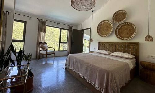 turkey/mugla/fethiye/rheagocek2f2693f9.jpg