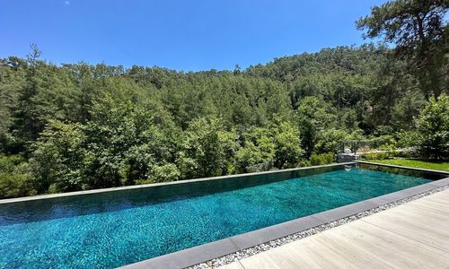 turkey/mugla/fethiye/rheagocek7fd2bd72.jpg