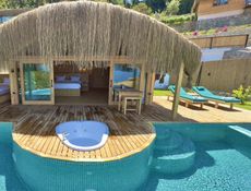 Palmiye ( Sea View, Private Pool And Jacuzzi )