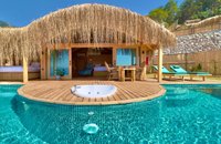 CEVIZ ( SEA VIEW, PRIVATE POOL AND JACUZZI )