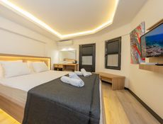 Standard Large Room