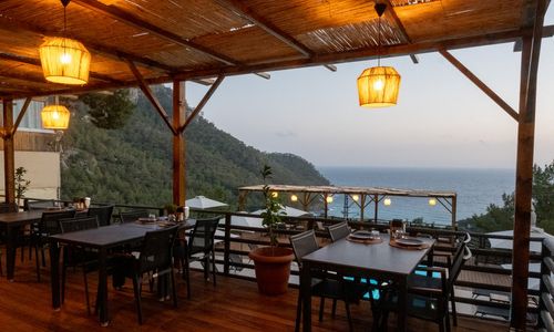 turkey/mugla/fethiye/treehouseskabak7135c53b.jpg