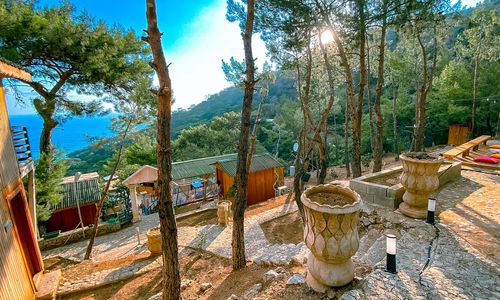 turkey/mugla/fethiye/treehouseskabak928f54ef.jpg