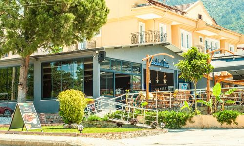 turkey/mugla/fethiye/turtleapart9e1364bb.jpg
