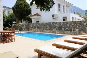 turkey/mugla/fethiye/villapalm831f825b.jpg