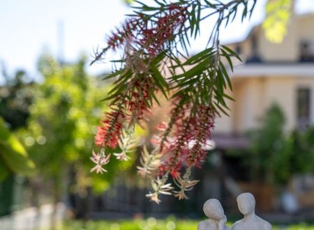 turkey/mugla/fethiye/westhouseexclusivehotelb9082ac3.jpg