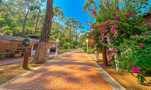 turkey/mugla/fethiye/zehrahotel2690f523.jpg