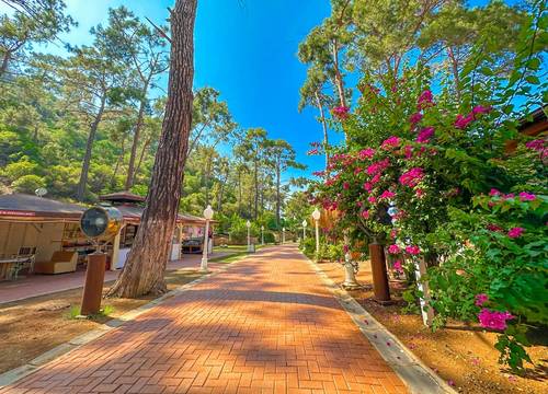 turkey/mugla/fethiye/zehrahotel2690f523.jpg