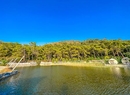 turkey/mugla/fethiye/zehratatilkoyuec2bc150.jpg