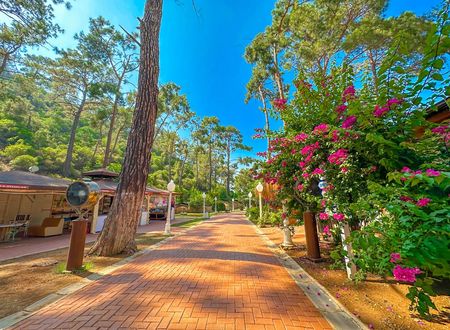 turkey/mugla/fethiye/zehratatilkoyuf3134eca.jpg