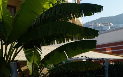 Güllük Life Otel · 5