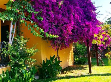turkey/mugla/hanboutiquehoteld68139df.jpg
