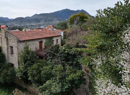 turkey/mugla/heritagehomesmehmetaliagakonagid980e27a.jpg