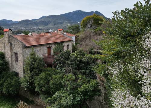 turkey/mugla/heritagehomesmehmetaliagakonagid980e27a.jpg