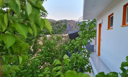 turkey/mugla/jardinbutikotel367daeda.jpg