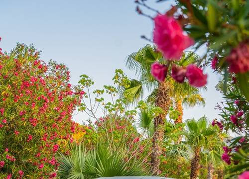 turkey/mugla/kairosvalleyhealthnatureresort2380e167.jpg