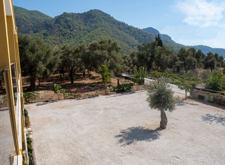 turkey/mugla/koycegiz/olivetreeaparthotel2ece868d.jpg