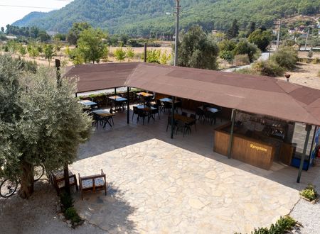 turkey/mugla/koycegiz/olivetreeaparthotel6ed59d22.jpg