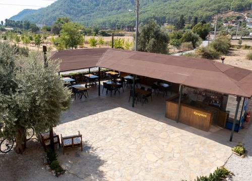 turkey/mugla/koycegiz/olivetreeaparthotel6ed59d22.jpg