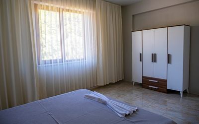 Olive Tree Apart · 5