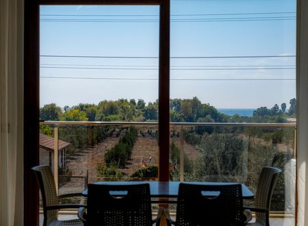 turkey/mugla/koycegiz/olivetreeaparthotel7e7fe5cc.jpg
