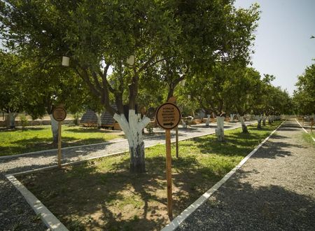 turkey/mugla/limondatca5bb69d2f.jpg