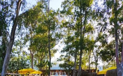 Albatros Beach Butik Otel · 2