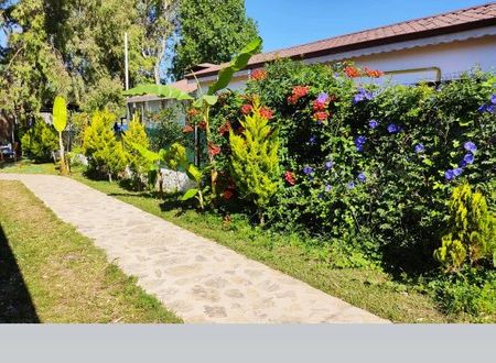turkey/mugla/marmaris/albatrosbeachbutikotelb38c9e95.jpg