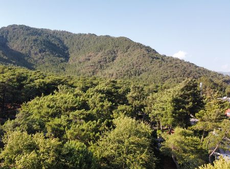 turkey/mugla/marmaris/aryaotelmarmaris14fd3a56.jpg
