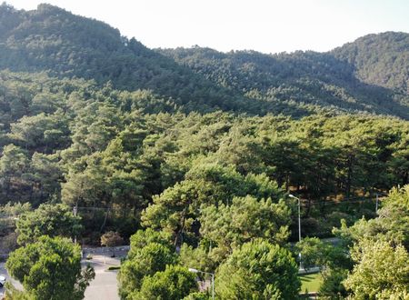 turkey/mugla/marmaris/aryaotelmarmarisc06fa2fc.jpg