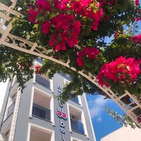 Berry Bella Hotel