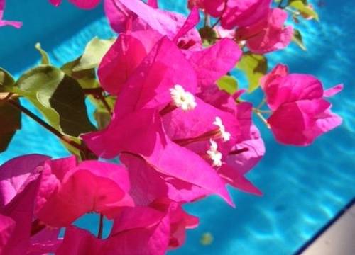 turkey/mugla/marmaris/orsmarisboutiquehotel49e172c3.jpg