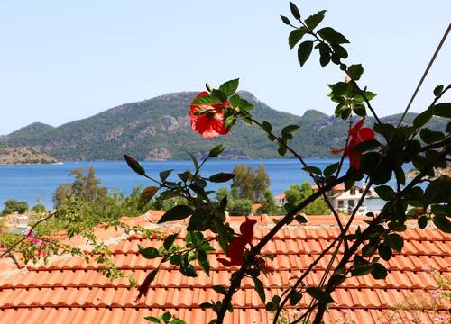 turkey/mugla/marmaris/palmirabungalowcamping32c0ad09.jpg