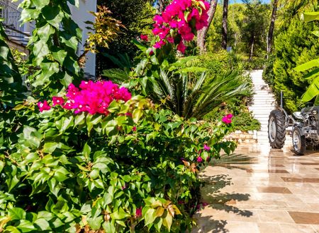 turkey/mugla/marmaris/petunyakonakhotel731a0ccb.jpg