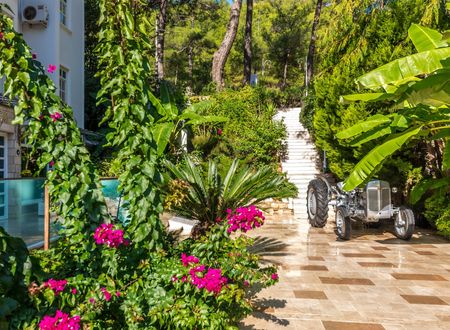 turkey/mugla/marmaris/petunyakonakhotelaa941519.jpg